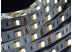 LED лента 5050/60 негерметичная (IP33) standart Multi White
